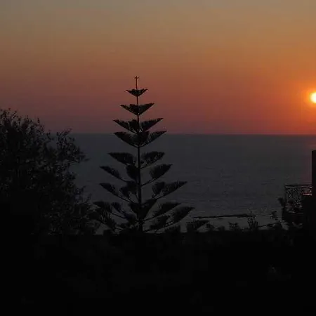 Magnolia (adults Only) 4*