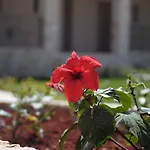 Magnolia (adults Only) Hotel Katelios