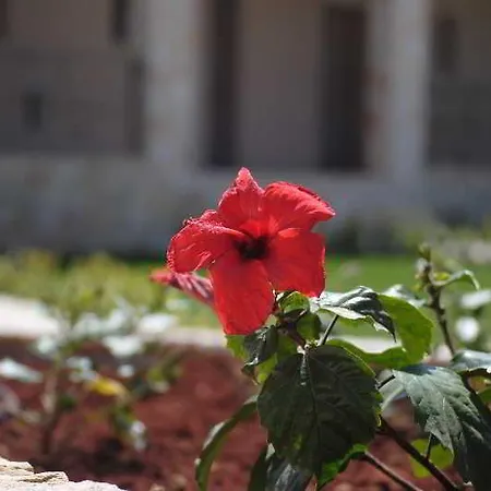 Magnolia (adults Only) Hotell Kateleios
